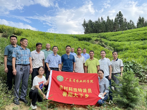 图片说明