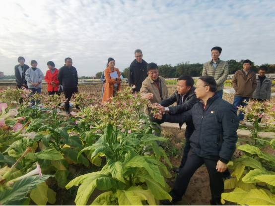 图片说明