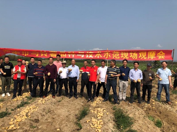 图片说明