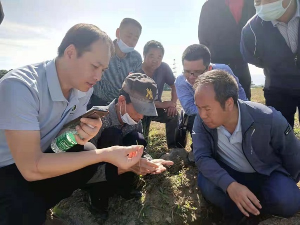 图片说明