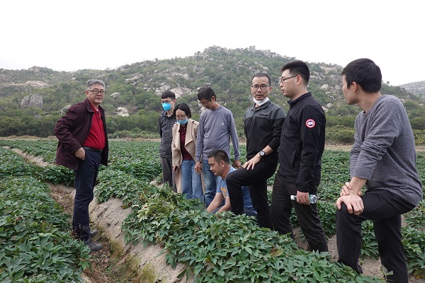 图片说明