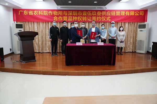 图片说明