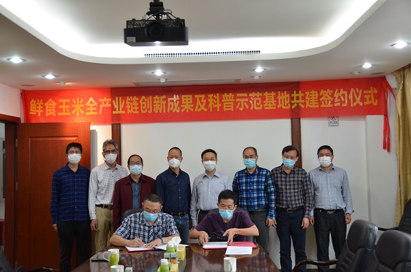 图片说明