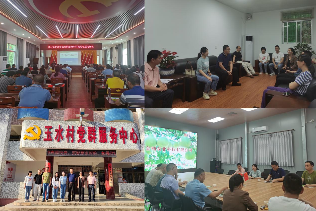 图片说明
