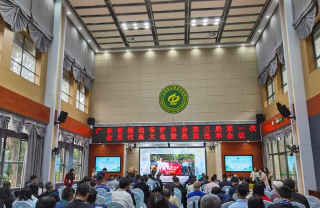 图片说明
