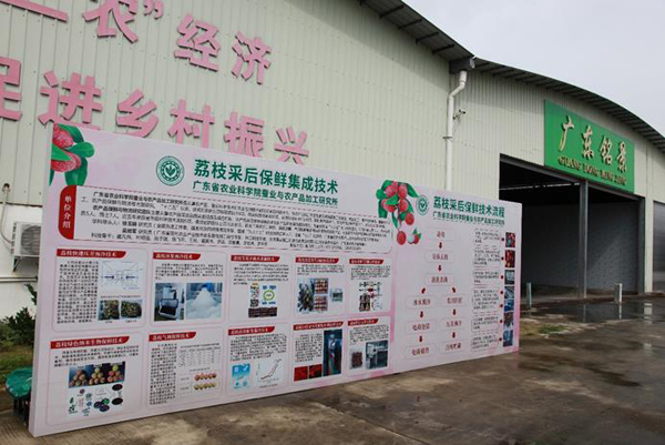 图片说明