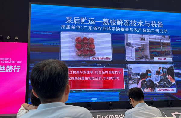 图片说明