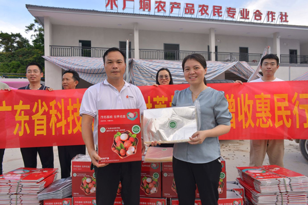 图片说明
