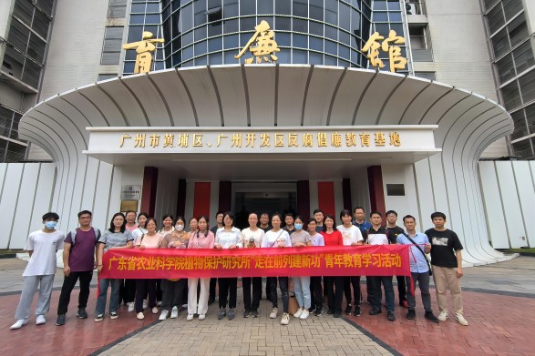 图片说明