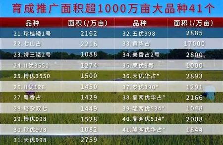 1498水稻品种图片