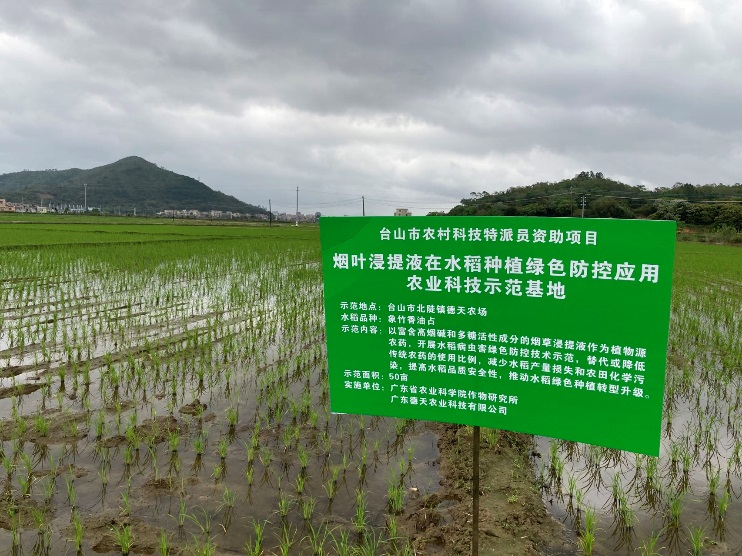 图片说明