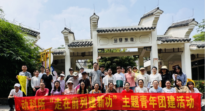 图片说明