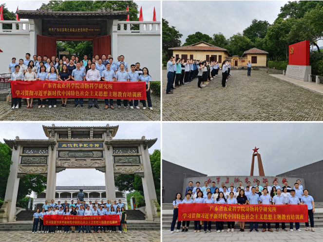 图片说明