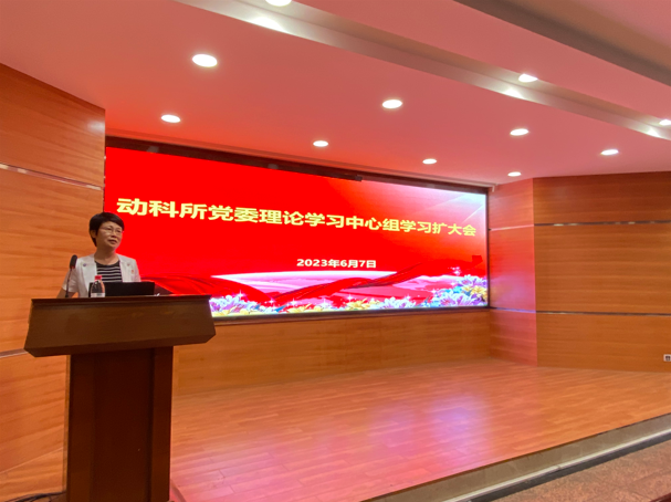 图片说明