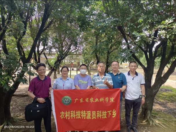 图片说明