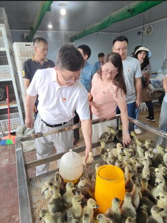 图片说明