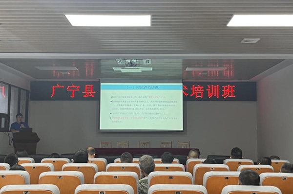 图片说明