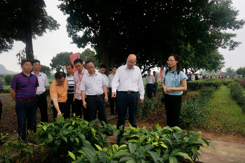 图片说明