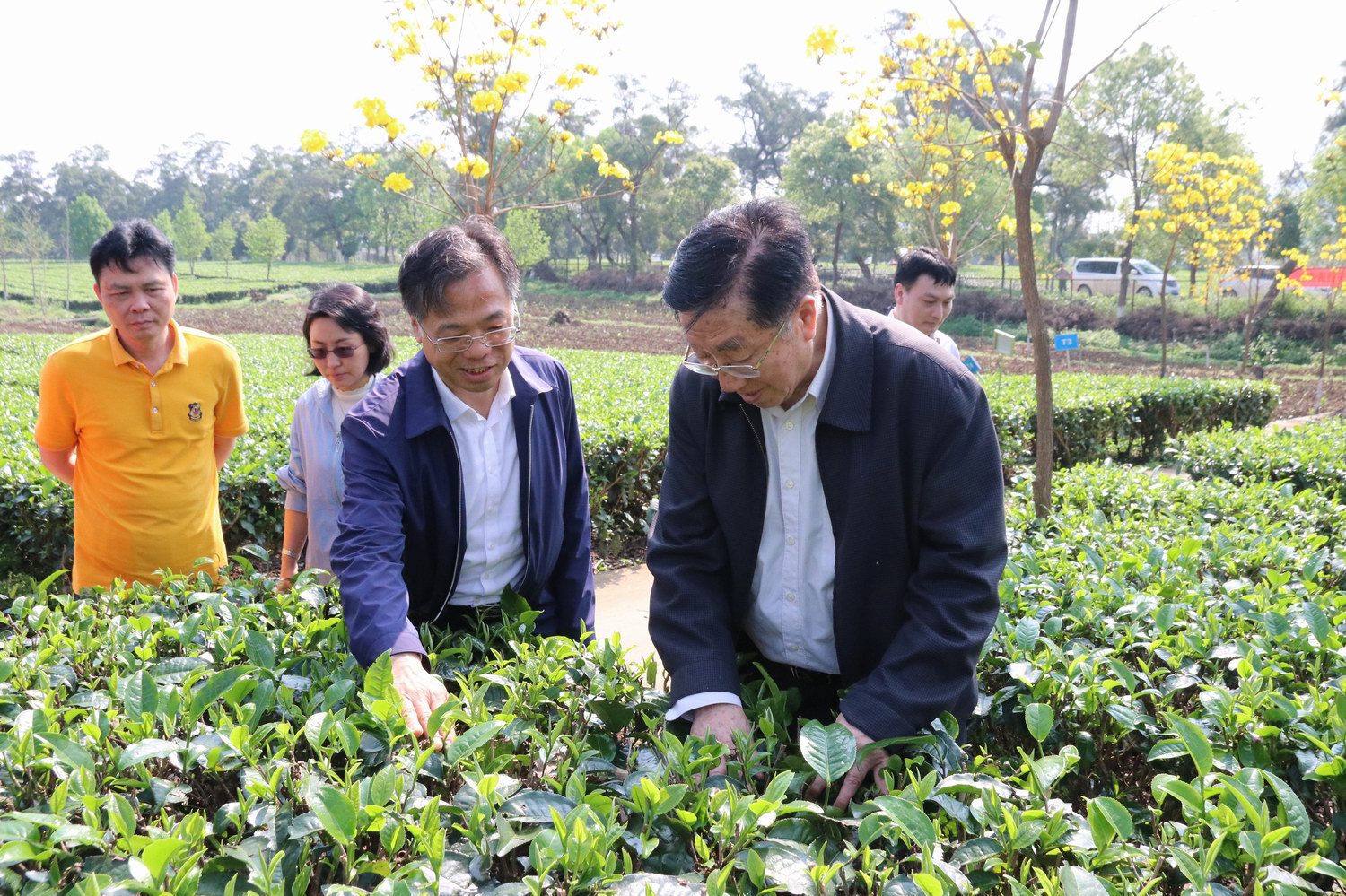 图片说明