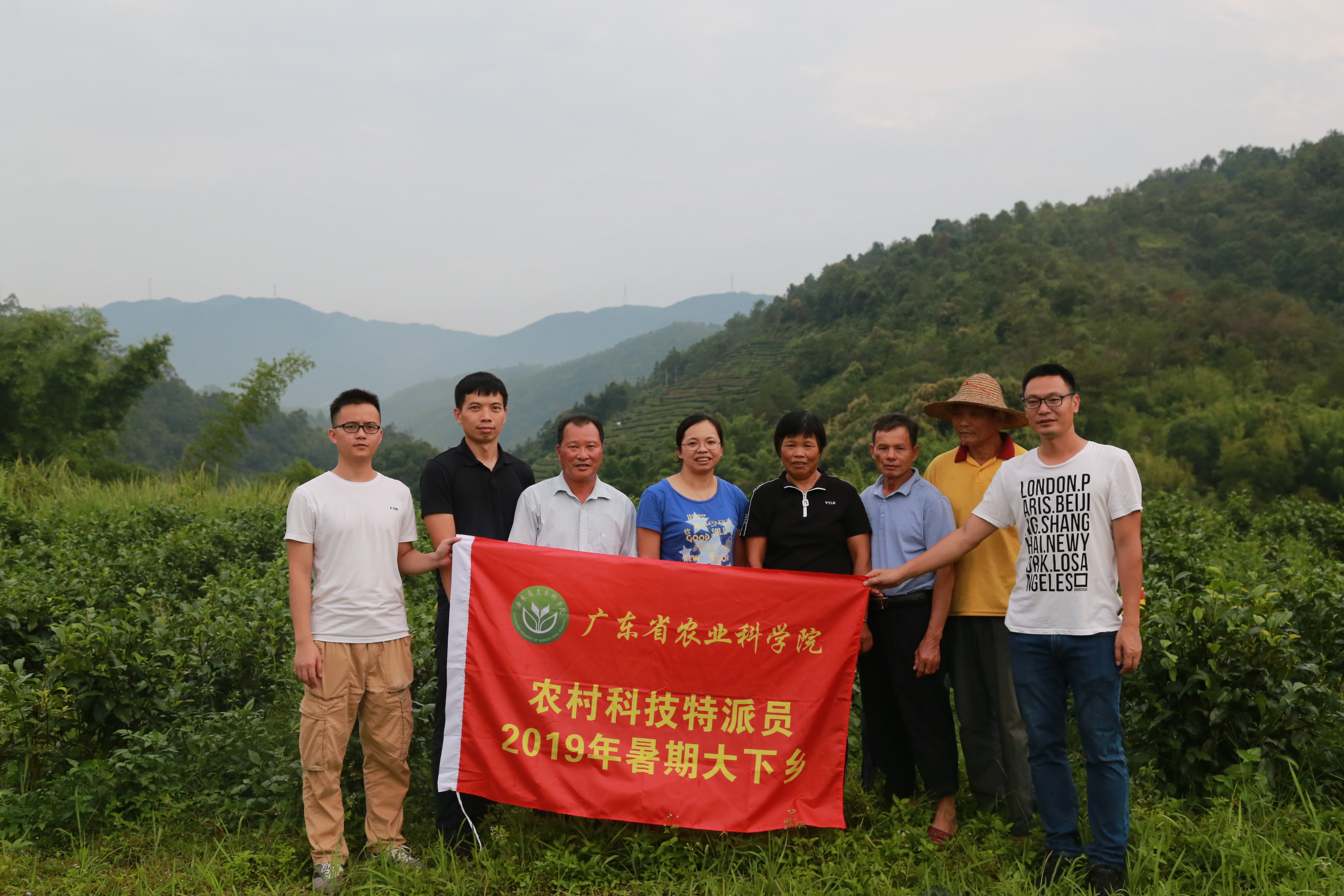 图片说明