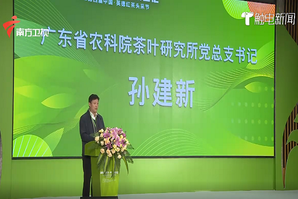 图片说明