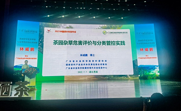 图片说明