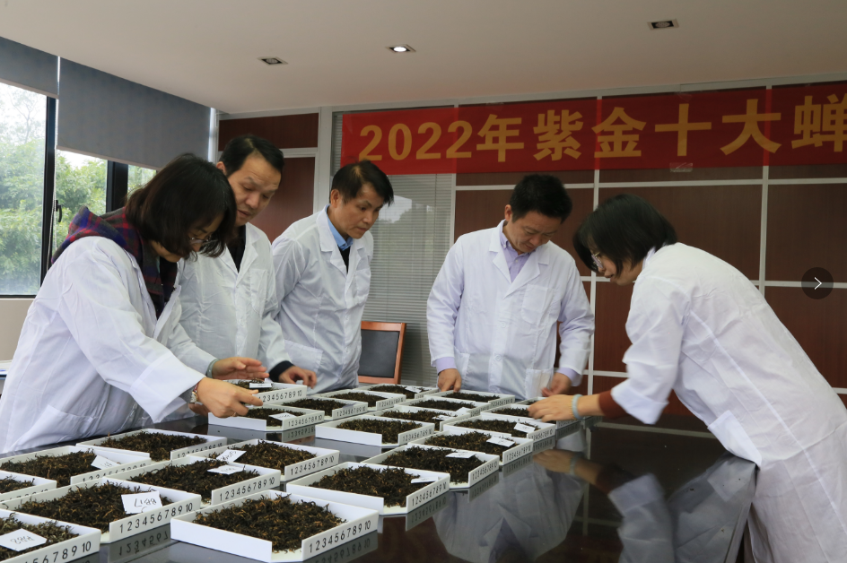 图片说明