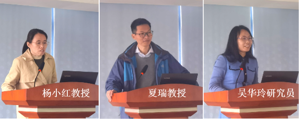 图片说明