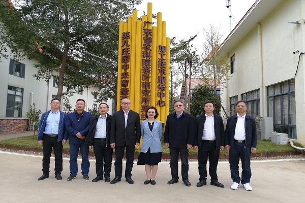 图片说明