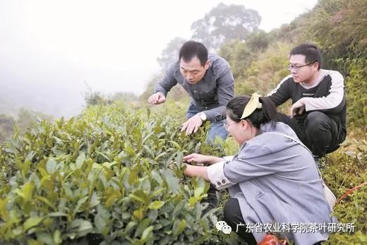 图片说明