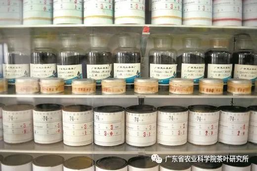 图片说明