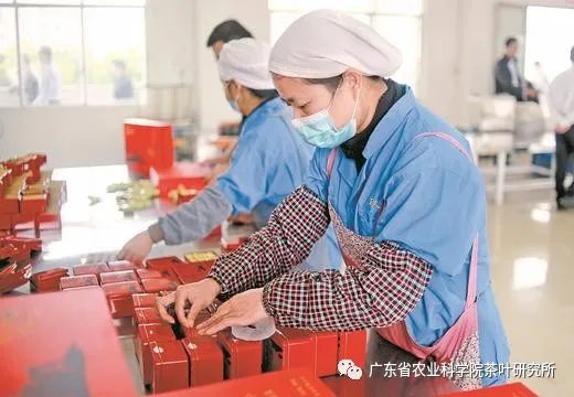 图片说明