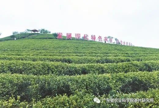 图片说明