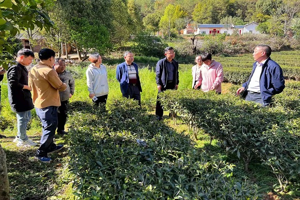 图片说明