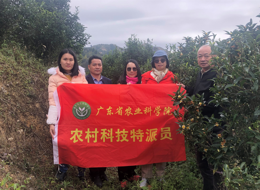 图片说明