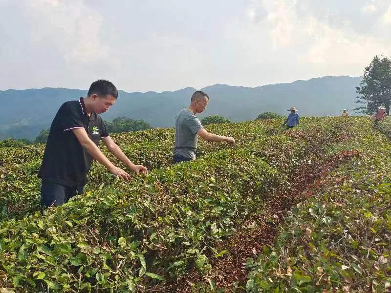 图片说明