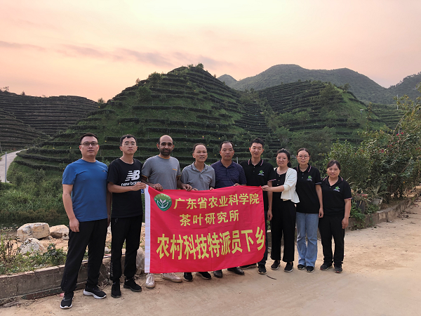 图片说明