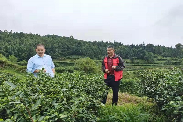 图片说明