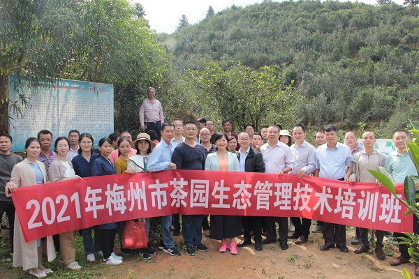 图片说明