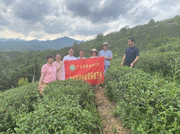 图片说明