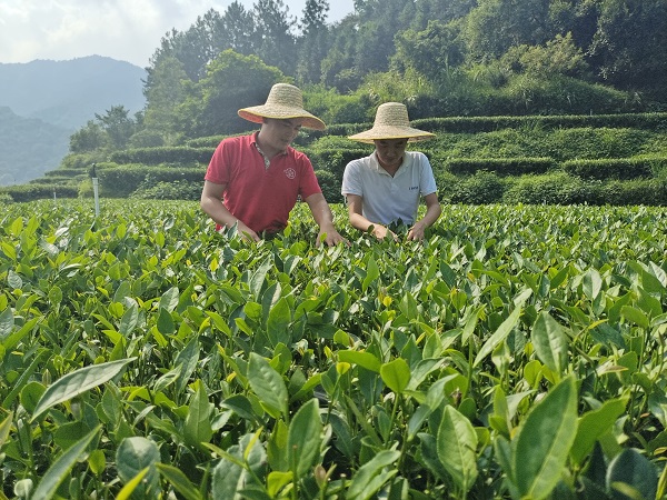 图片说明