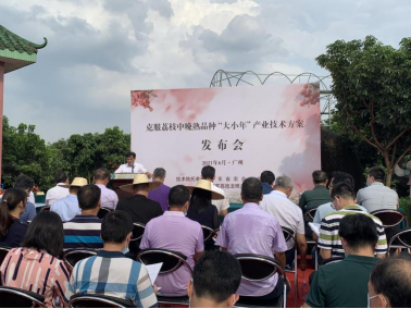 发布会现场