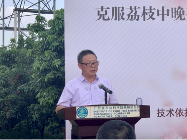 国家荔枝龙眼产业技术体系首席科学家、华南农业大学园艺学院院长陈厚彬在会上发言