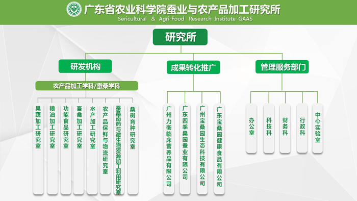 机构设置.jpg
