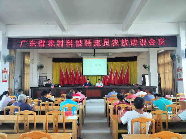 图片 1.png