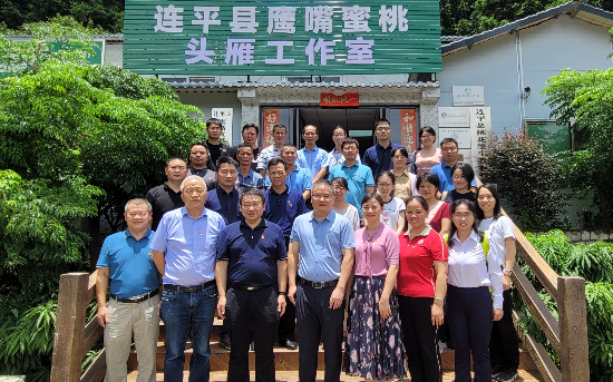 党支部活动.jpg