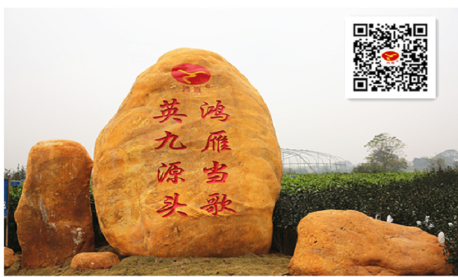 微信图片_20230727113308.png