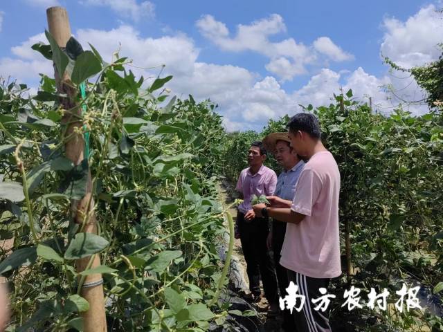 受访者供图