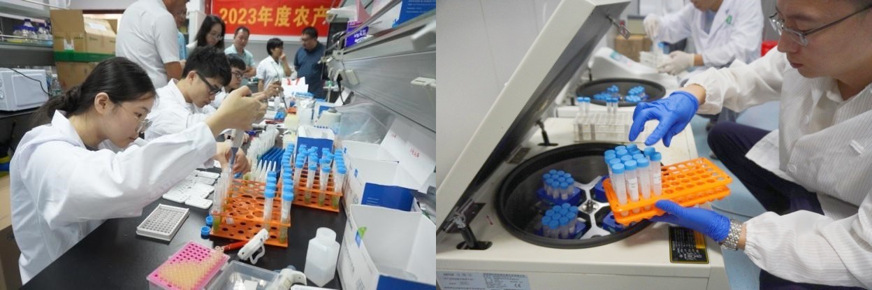 图片5_副本.jpg