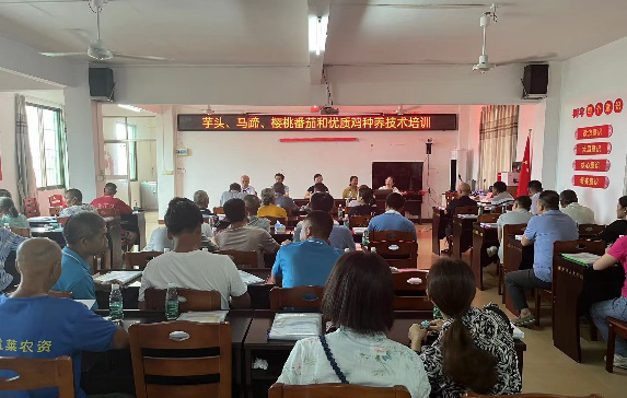 图片1.png